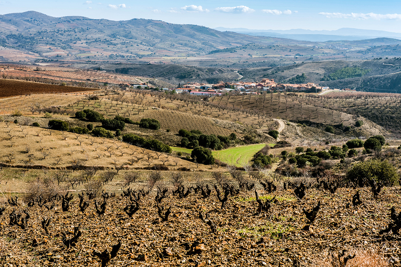 View of Acered from Valeriano's vineyard above the village