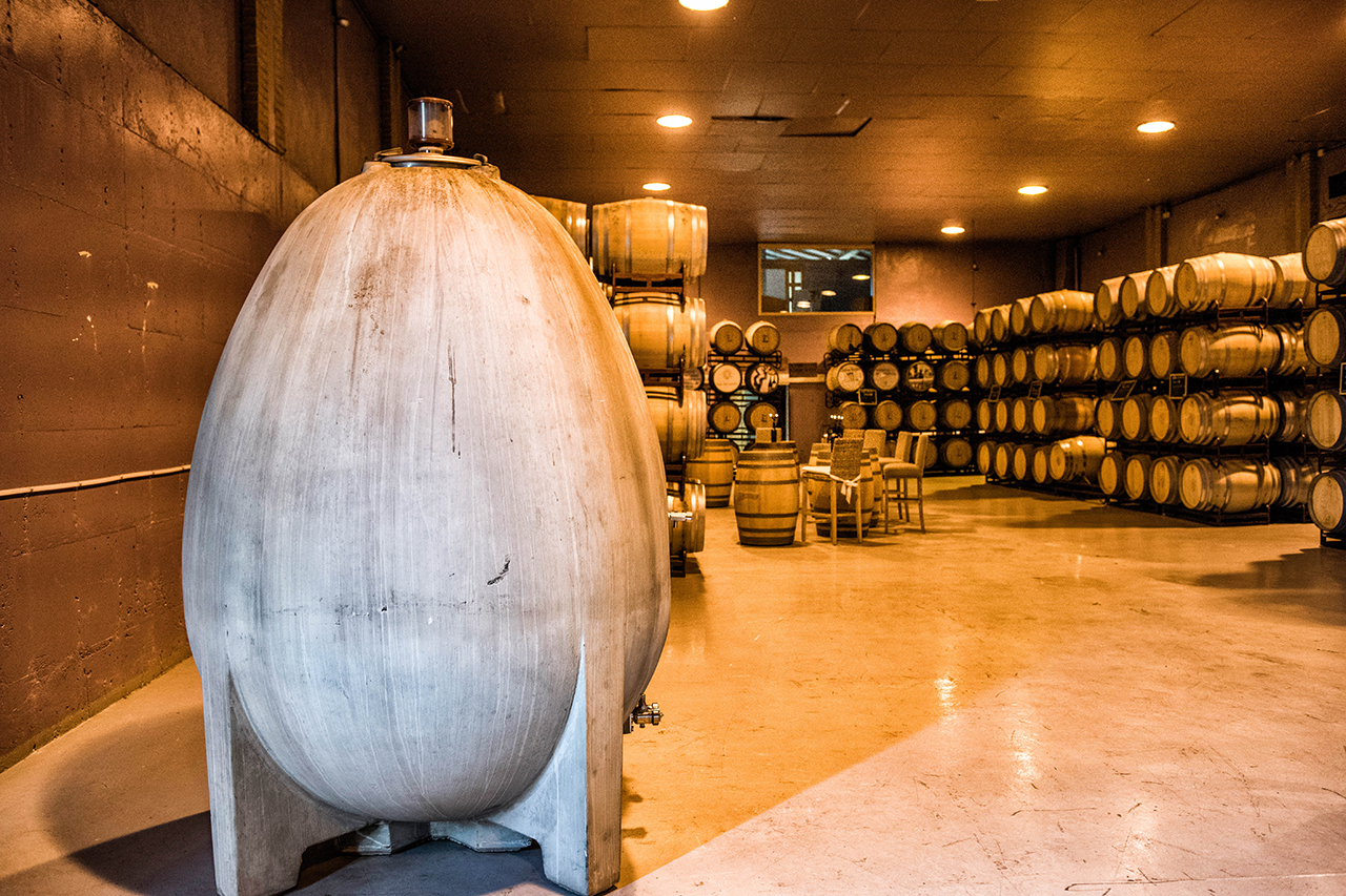 The Evodia barrel room, most of the wine ages in tank