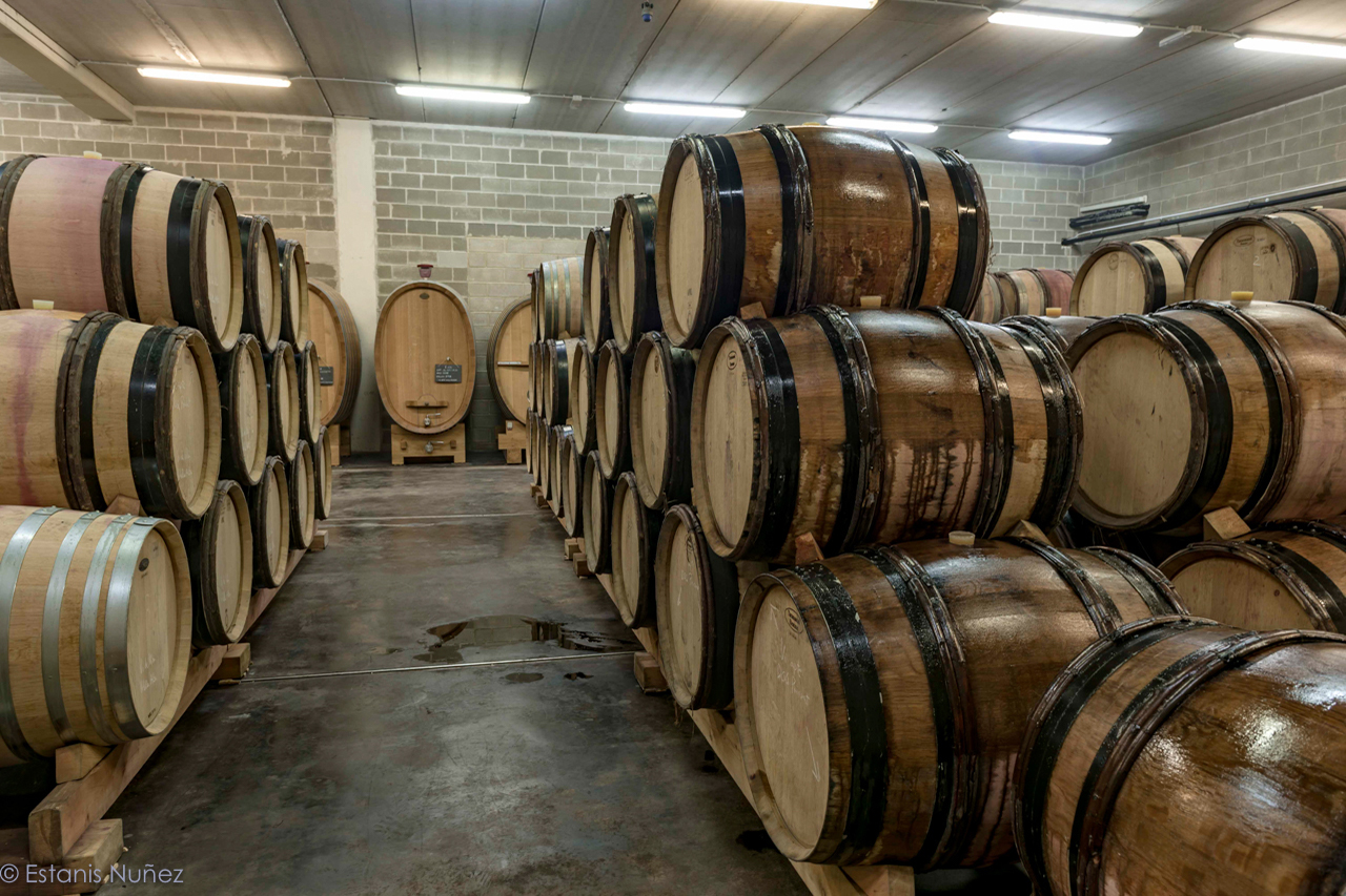The barrel room at Mas Alta