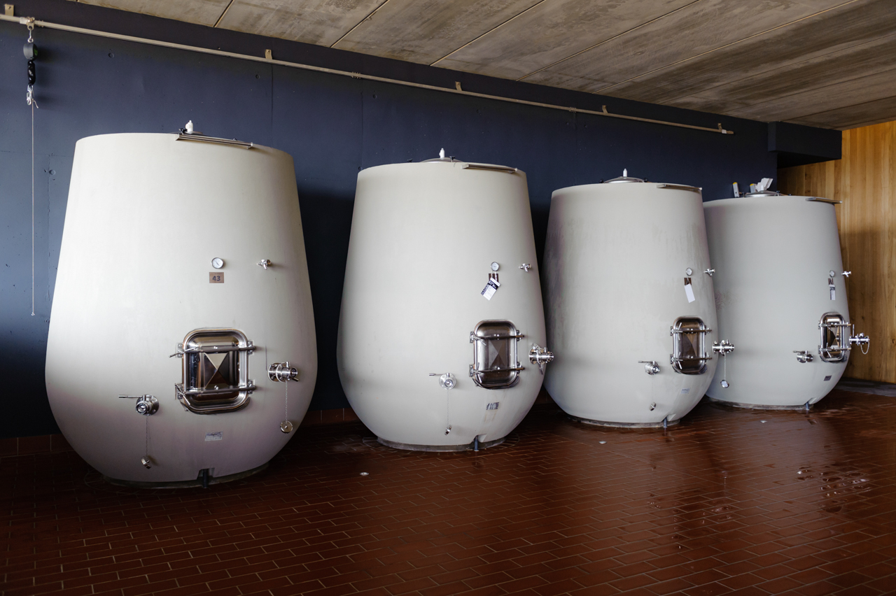 Having employed many vessels for fermentation over the years, Rafa and Nuria now rely on stainless steel tanks, oak vats, and concrete tulips. These are situated in a room below the crushing pad to take advantage of gravity to move the wine thus reducing the need for electicity to pump the must. 