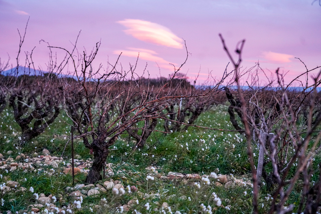 The lieu-dit of La Janasse at dusk, January 2019