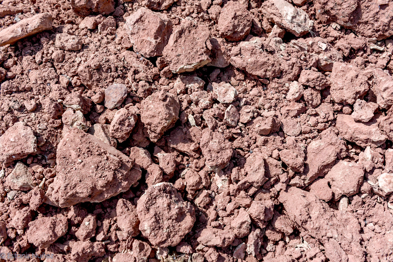 The calcareous soil of La Solana