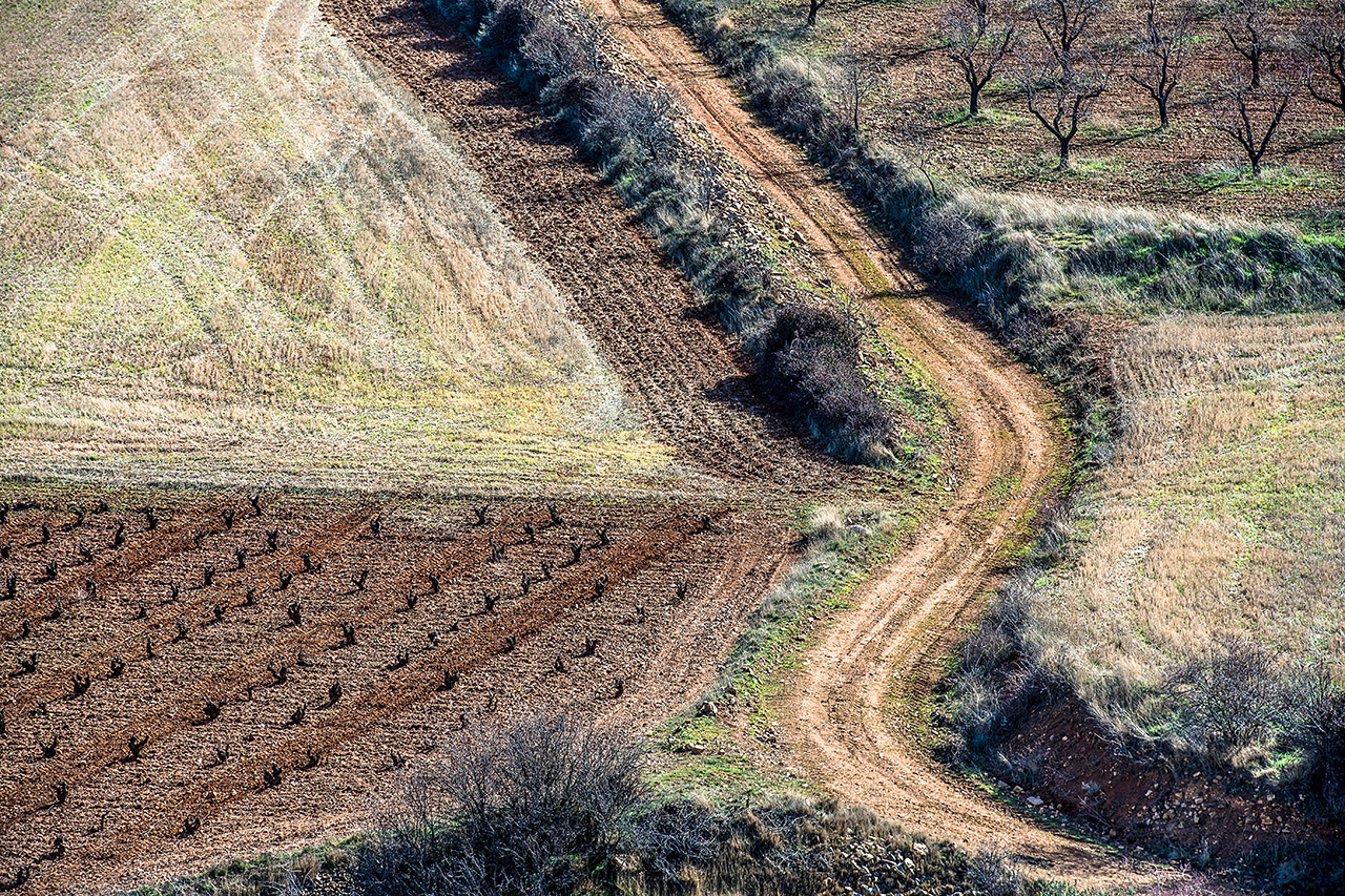 View from El Rayo vineyard in Atea, fertile ground reserved for grains, rockier terroir for vines and orchards