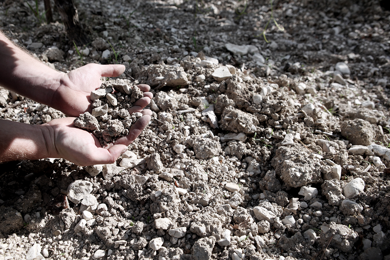 Example of the grey clay terroir at Château Pesquié