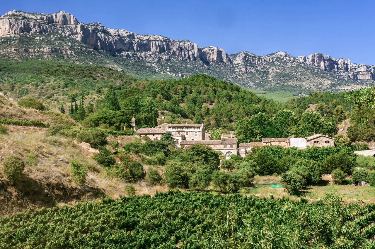 Conreria d'Scala Dei