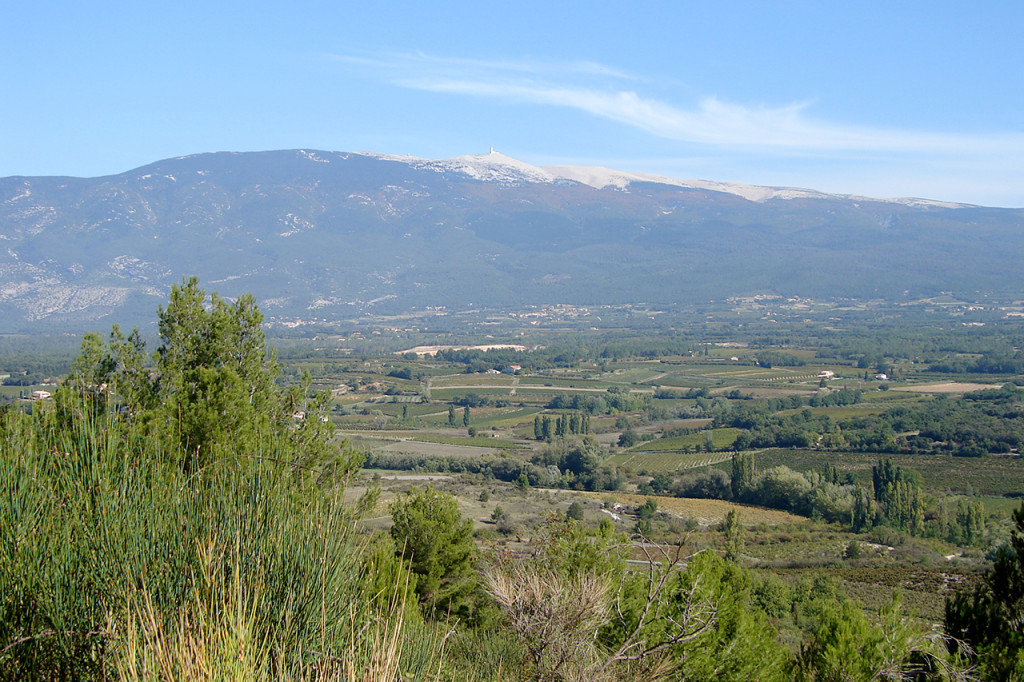 The rolling hills of Ventoux with Mont Ventoux dominating the horizon