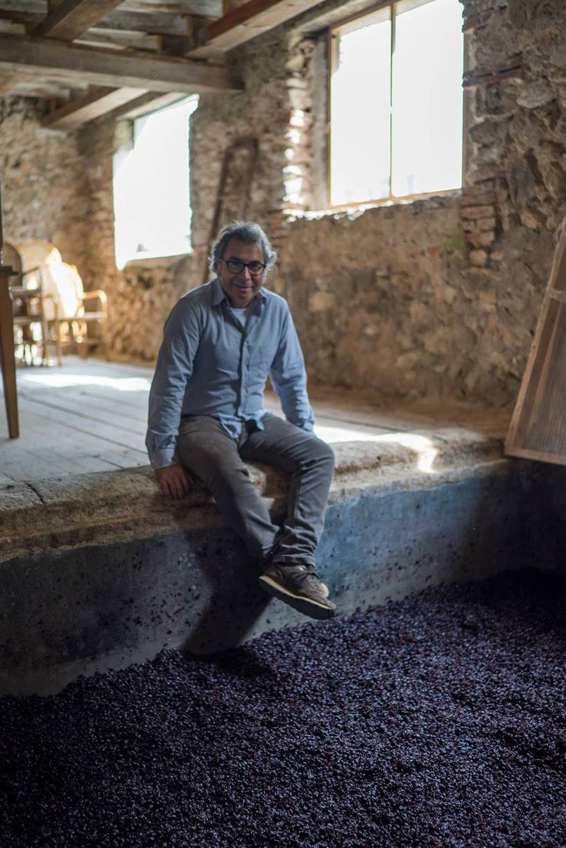 Pablo's Monastrell