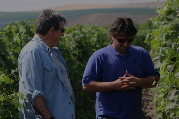 Reynvaan Family Vineyards